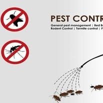Pest control graphic